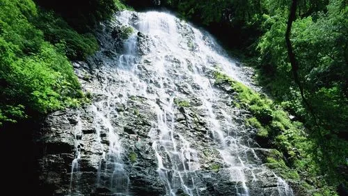 电子节能独特